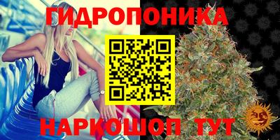 гашиш Канаш