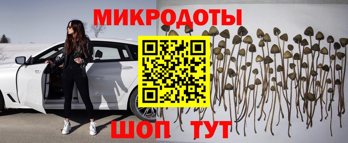 Псилоцибиновые грибы прущие грибы  Вход с VPN  Кушва 